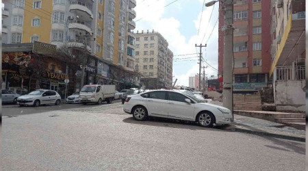 Mardin'de gneli havada kar yad