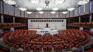 Meclis, bebek ölümlerini araştıracak