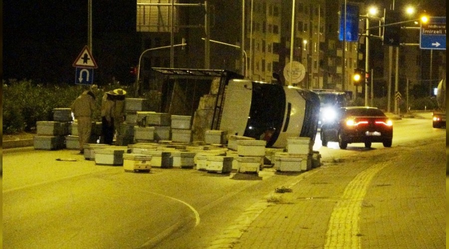 Mersin´de kovanlar ve kızgın arılar yolu trafiğe kapadı