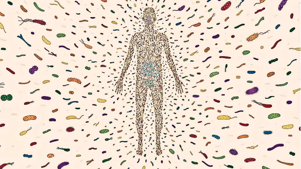 Mikrobiyota nakli: Barsak saln iyiletirmede cesur bir adm