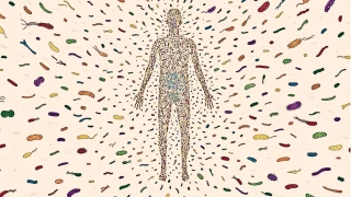 Mikrobiyota nakli: Barsak saln iyiletirmede cesur bir adm