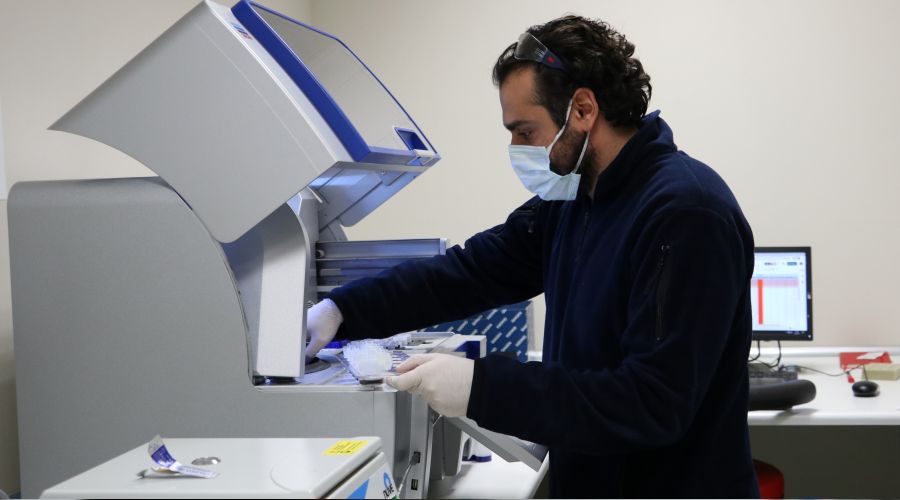 Moleküler testlerin hedefi ne?