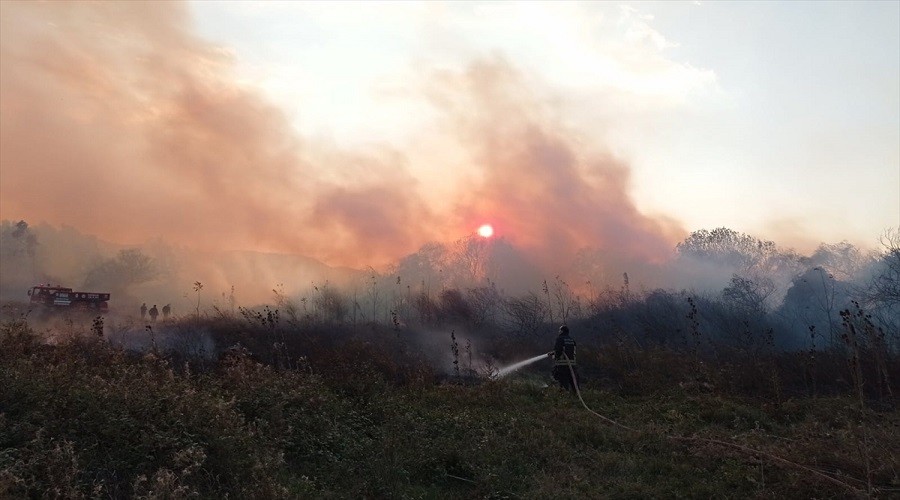 Muğla'nın Ula ilçesindeki sazlık alanlarda yangın çıktı