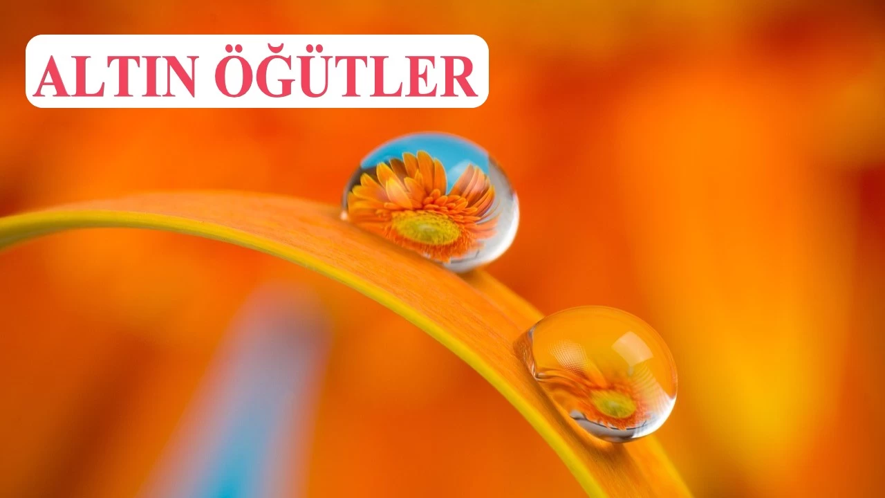 Mü’min, akrabalık haklarını gözetendir