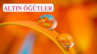 Mü’min, akrabalık haklarını gözetendir