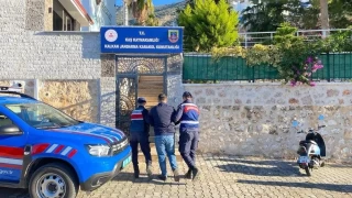 O annenin feryadı, organize suç örgütünü çökertti