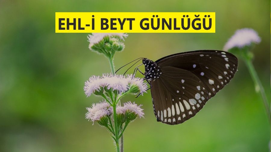 ‘O, Betül’ün tertemiz neslindendir’