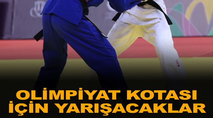 Olimpiyat kotası için yarışacaklar