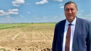 �mer Fethi G�rer�in soru �nergesine verilen yan�t, elektrik maliyetlerinin �ift�iler �zerindeki a��r y�k�n� ortaya koydu