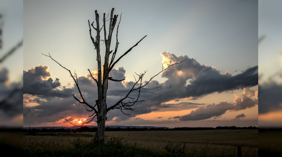 ��nce h�k�mler, sonra ticaret�