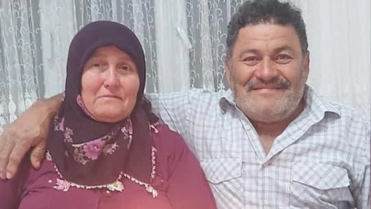 Ordu'da karı kocaya domuz saldırdı: 1'i ağır 2 yaralı