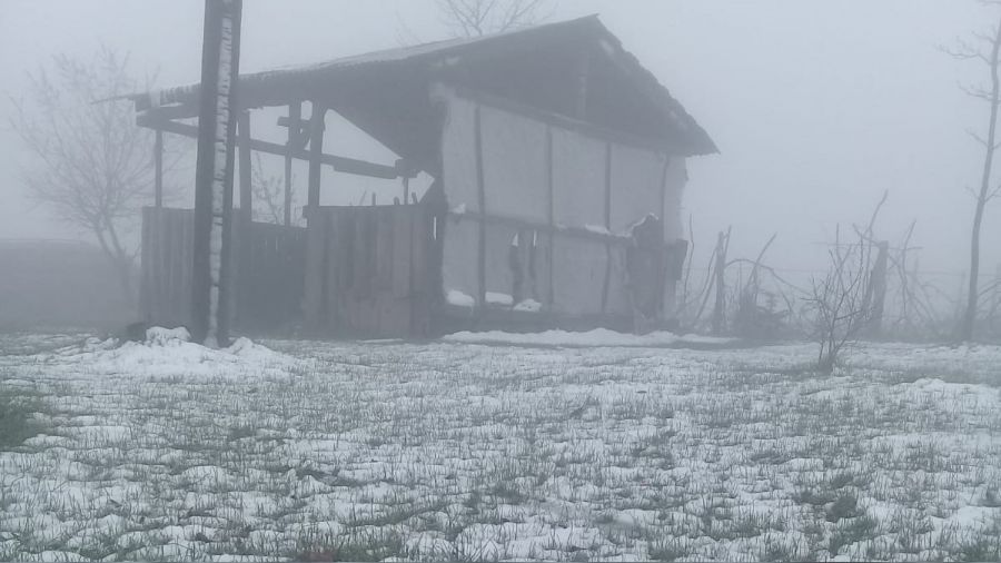 Ordu'da mayıs ayında kar yağışı