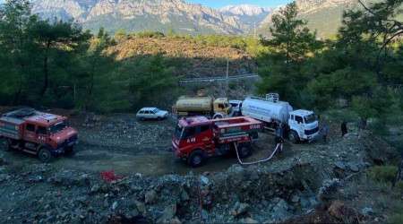 Orman yangını büyümeden söndürüldü
