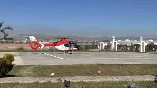 Ormanda ay saldrsna urad, tedavi altna alnd