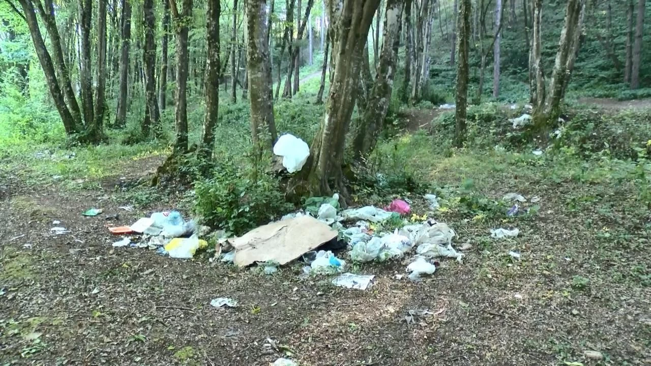 Ormanları kirlettiğimizde kendimize zarar veriyoruz