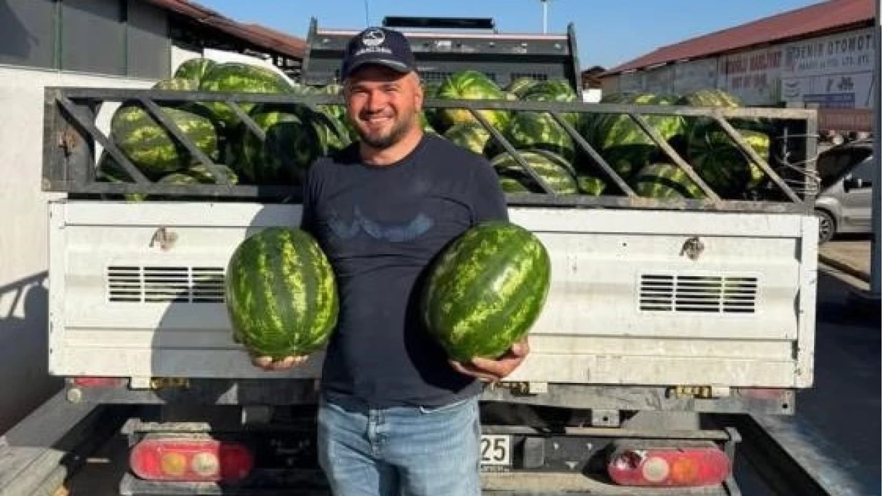 Osmaneli'nin meşhur karpuzunun ilk hasadı başladı