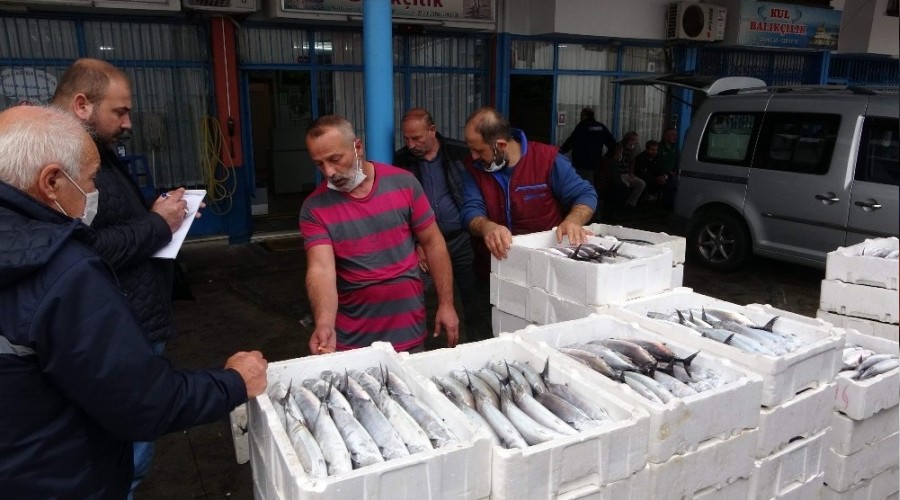 Palamut azaldı, umutlar hamside