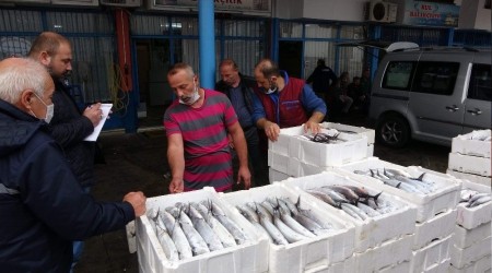 Palamut azaldı, umutlar hamside