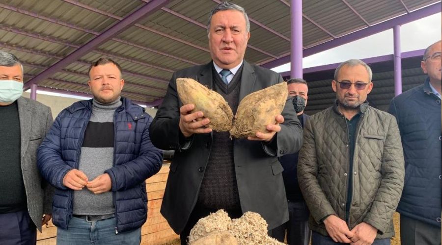 Pancar �ift�isi de isyan ediyor
