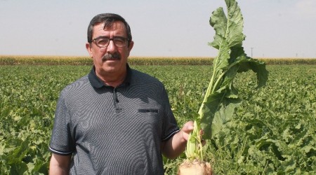 Pancar işleyen sadece 33 şeker fabrikası var