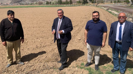 Patateste tehlike çanları çalıyor