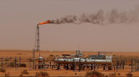 Rusya'dan petrol alan kârlı çıktı