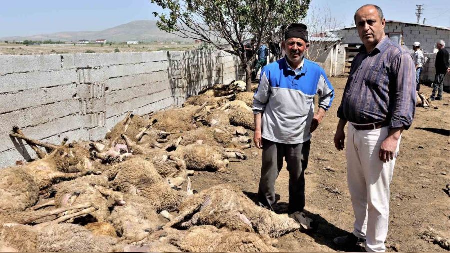 Sabah uyanan besici hayat�n�n �okunu ya�ad�