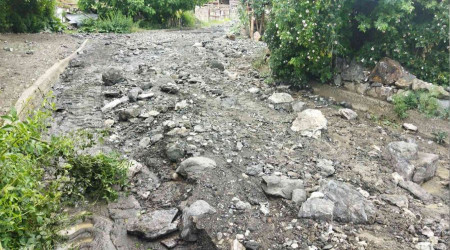 Sağanak yağış tarım alanlarına hasar verdi