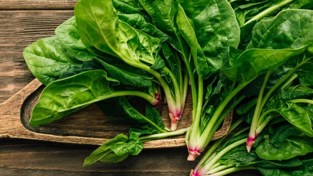 Sağlık dostu ıspanağı he hafta tüketin