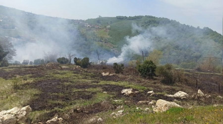 Sakarya'da arazide korkutan yangın