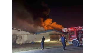 Sakarya'da boya fabrikasnda yangn