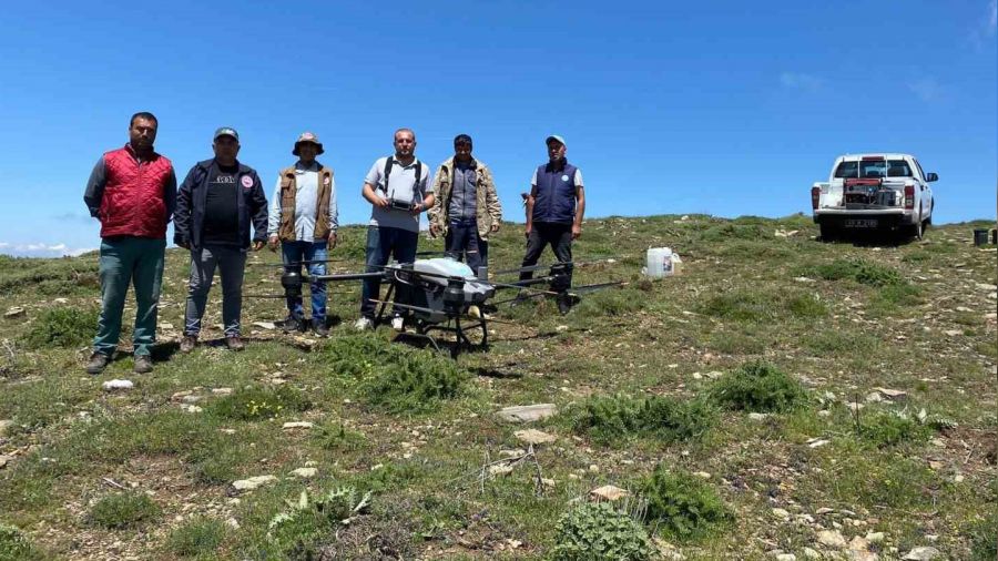 Salihli'de �ekirgeye kar�� dron ile m�cadele