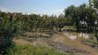 Samsun'da sa�anaktan 30 mahalle etkilendi