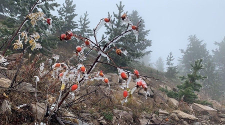 Sarıkamış buz kesti, ağaçlar kırağı tuttu