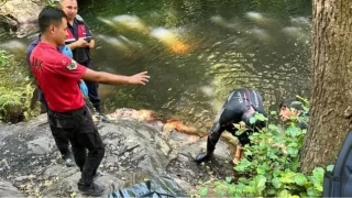 Serinlemek için girdiği şelalede boğuldu