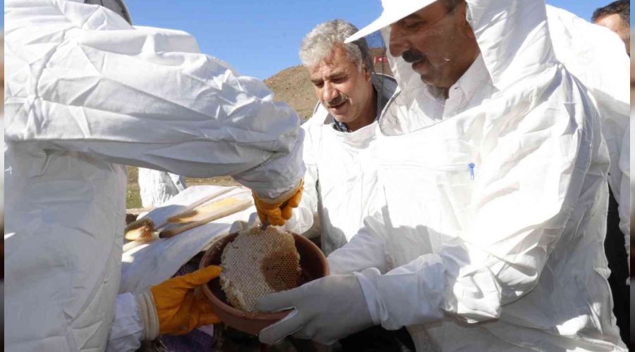 Siirt'te bal hasadı yapıldı