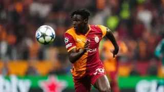 Singo'da papatya falı: Dönüyor, dönmüyor!
