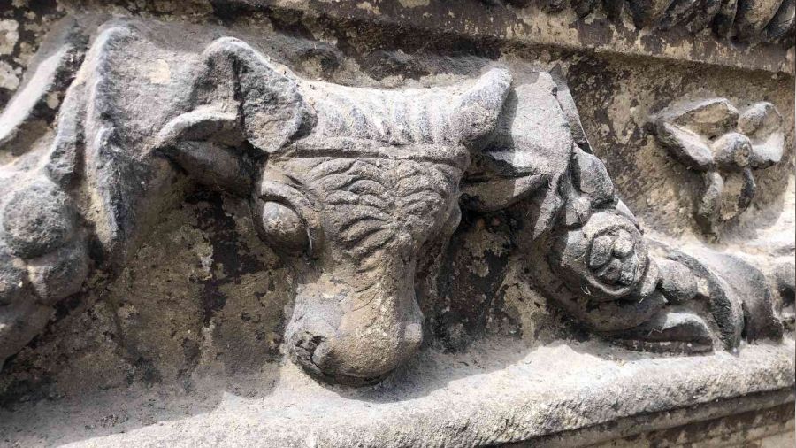 Sinop Kalesi'nin surlarında 2 bin 500 yıllık kırlent