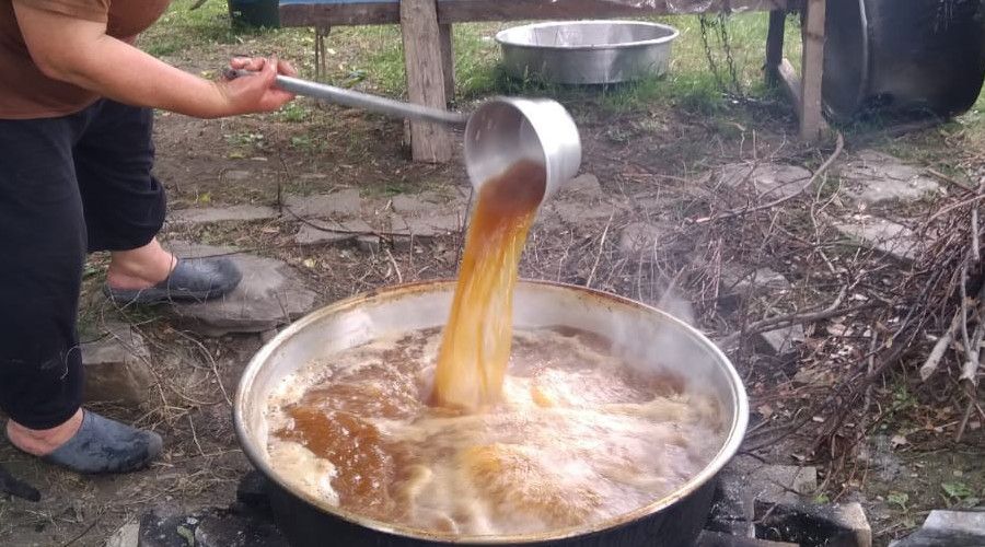 Sinop'ta pekmez sezonu açıldı