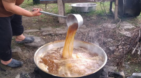 Sinop'ta pekmez sezonu açıldı