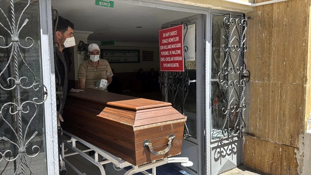 Sivas'ta kene bir can daha aldı