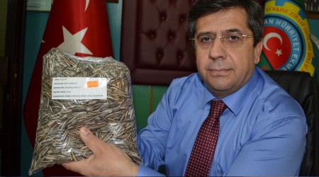 Siyah ay çekirdeğinin yüzde 80'i yerli