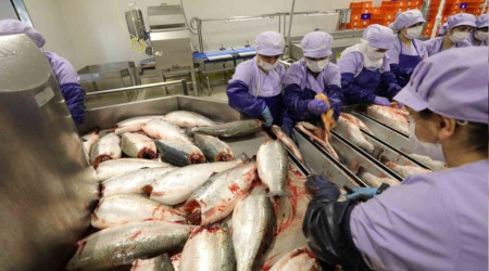 Su ürünleri ihracatında 313 milyon dolar gelir sağlandı