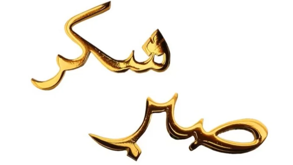 Şükür ve sabır kardeştir