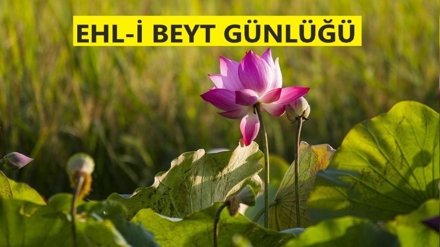 ‘Sükût hikmetin kapılarından bir kapıdır’