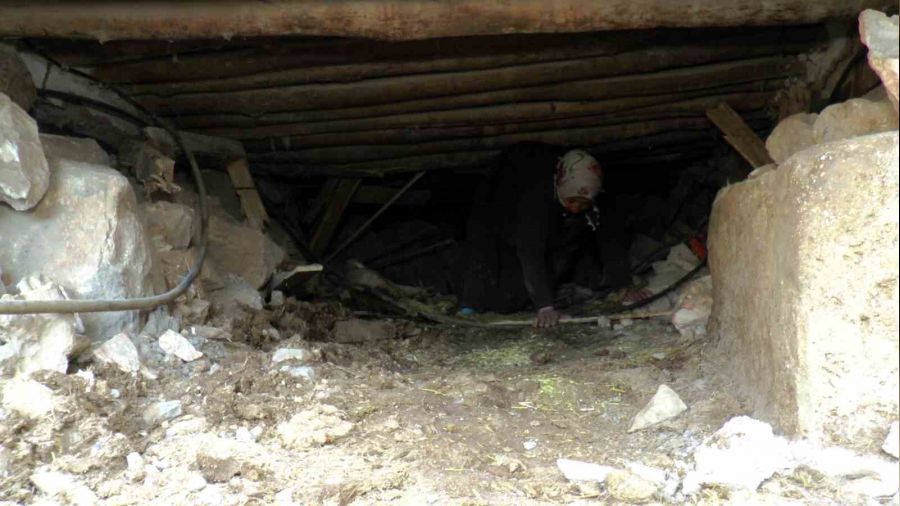 S�r�nerek girip enkaz�n alt�ndaki ine�ini besliyor