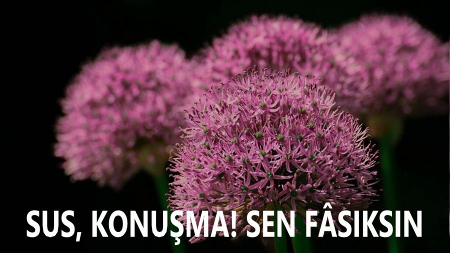 ‘Sus, konuşma! Sen fâsıksın’