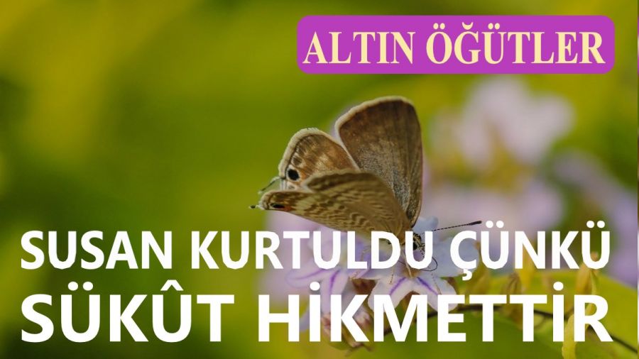 ‘Susan kurtuldu çünkü sükût hikmettir’