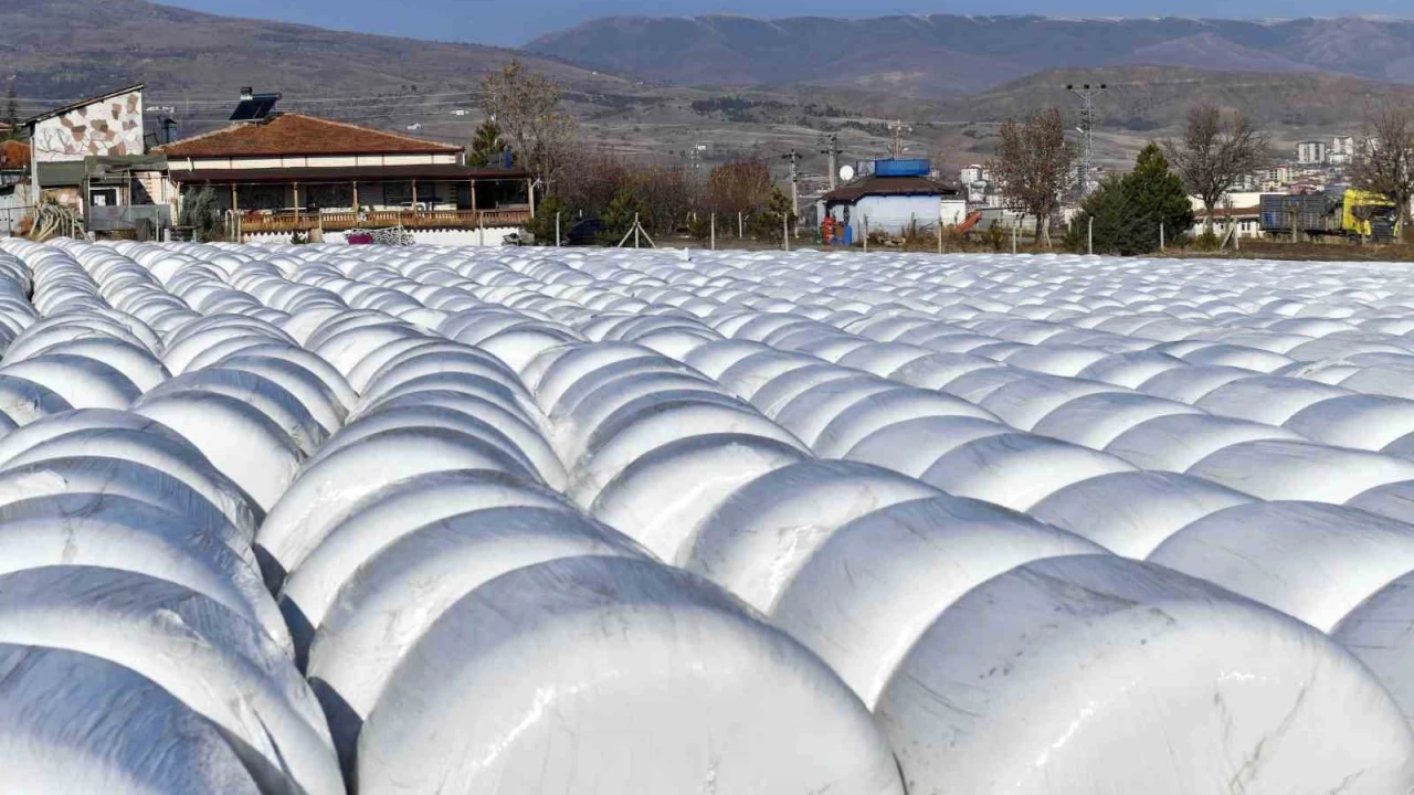 Tarım Bakanlığı'nın yapmadığını Mansur Başkan yapıyor