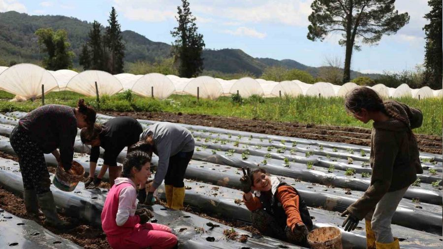 Tarım bölümü öğrencileri hem öğreniyor, hem üretiyor